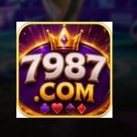 7987 com