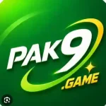 Pak9 Game